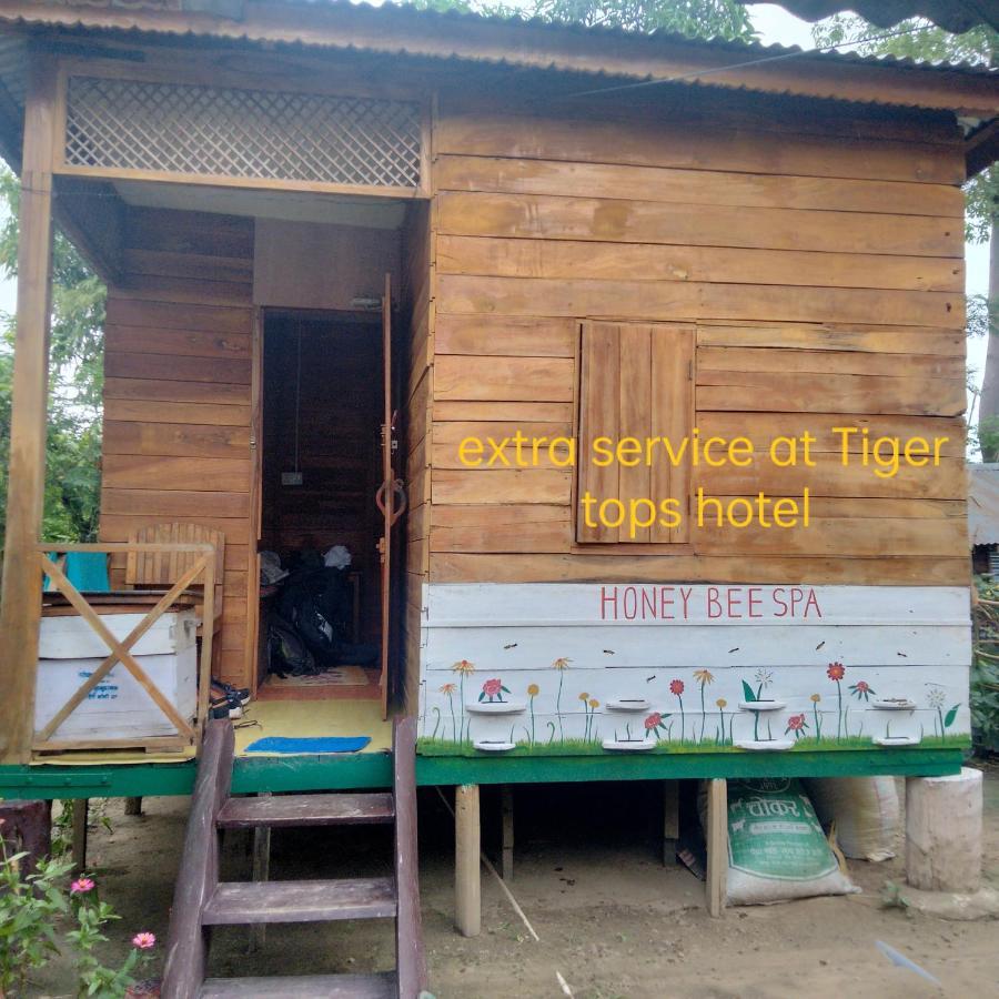 Hotel Tiger Tops Sauraha Exterior photo