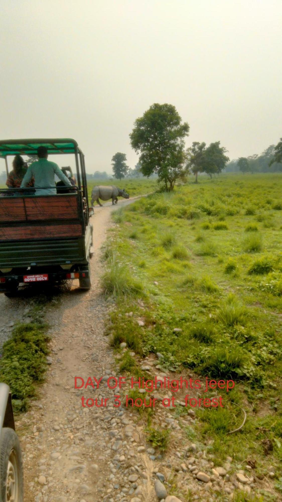 Hotel Tiger Tops Sauraha Exterior photo